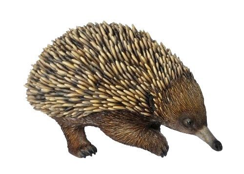 Echidna Indoor/Outdoor Statue | The Land Down Under